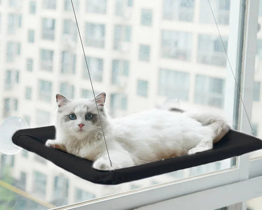 Pet Cat Hammock Aerial Hanging Cat Bed Cats Bed House Kitten Climbing Frame Sunny Window Seat Nest Bearing 20Kg Pet Accessories