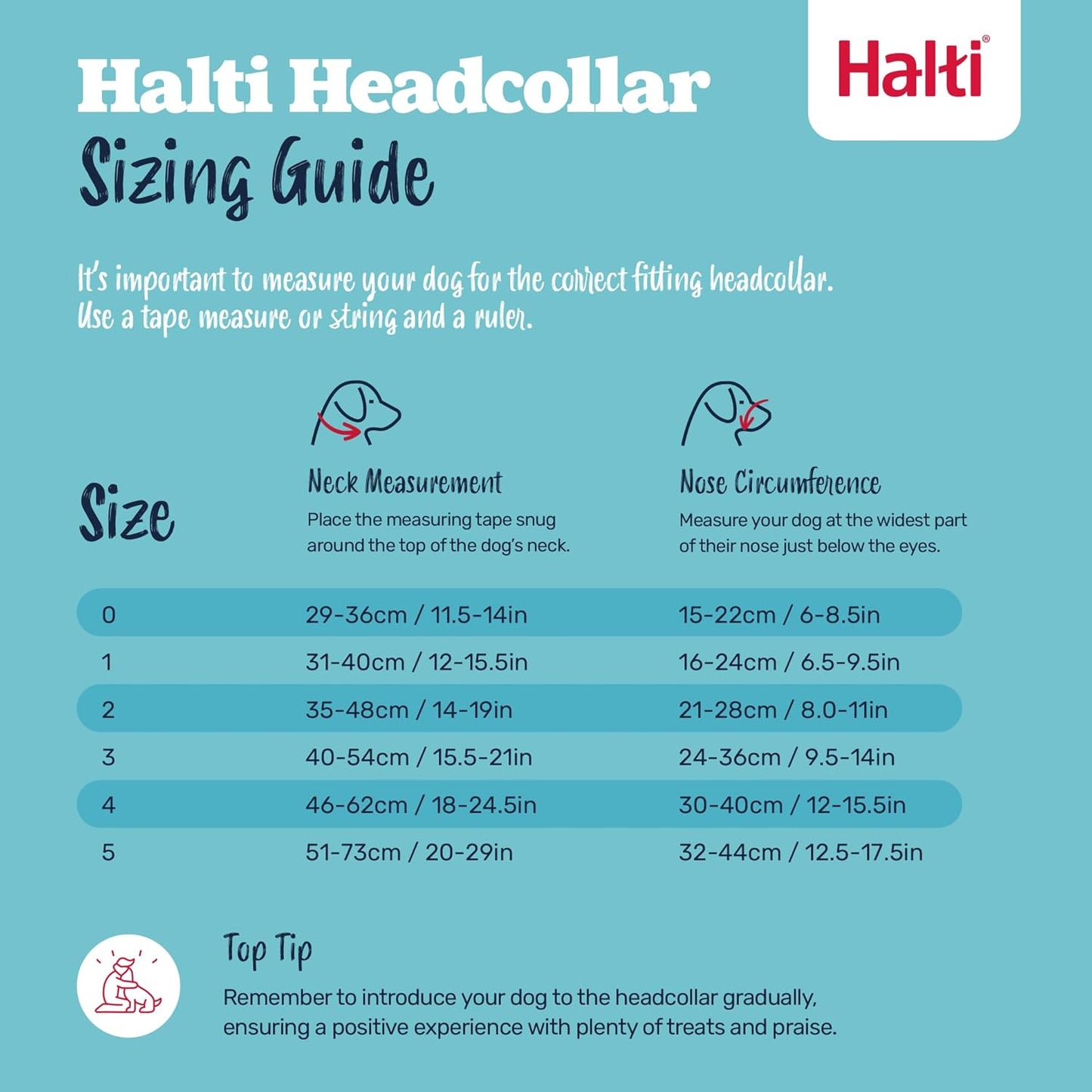 Headcollar - Stop Your Dog Pulling on the Lead. Adjustable, Reflective and Lightweight, with Padded Nose Band. Dog Training Anti-Pull Collar for Medium Dogs (Size 3, Black)