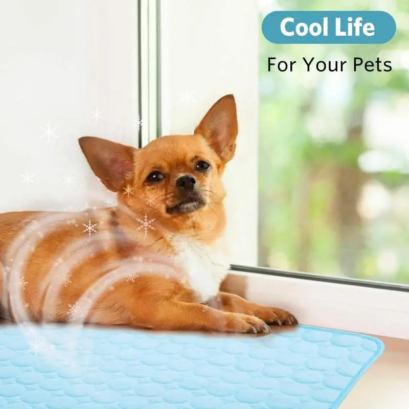 Washable Pet Cooling Bed Mat, Summer Cooling Pad for Puppy, Kitten, Dogs & Cats, Comfortable Pet Tools Mat for Home & Car Use