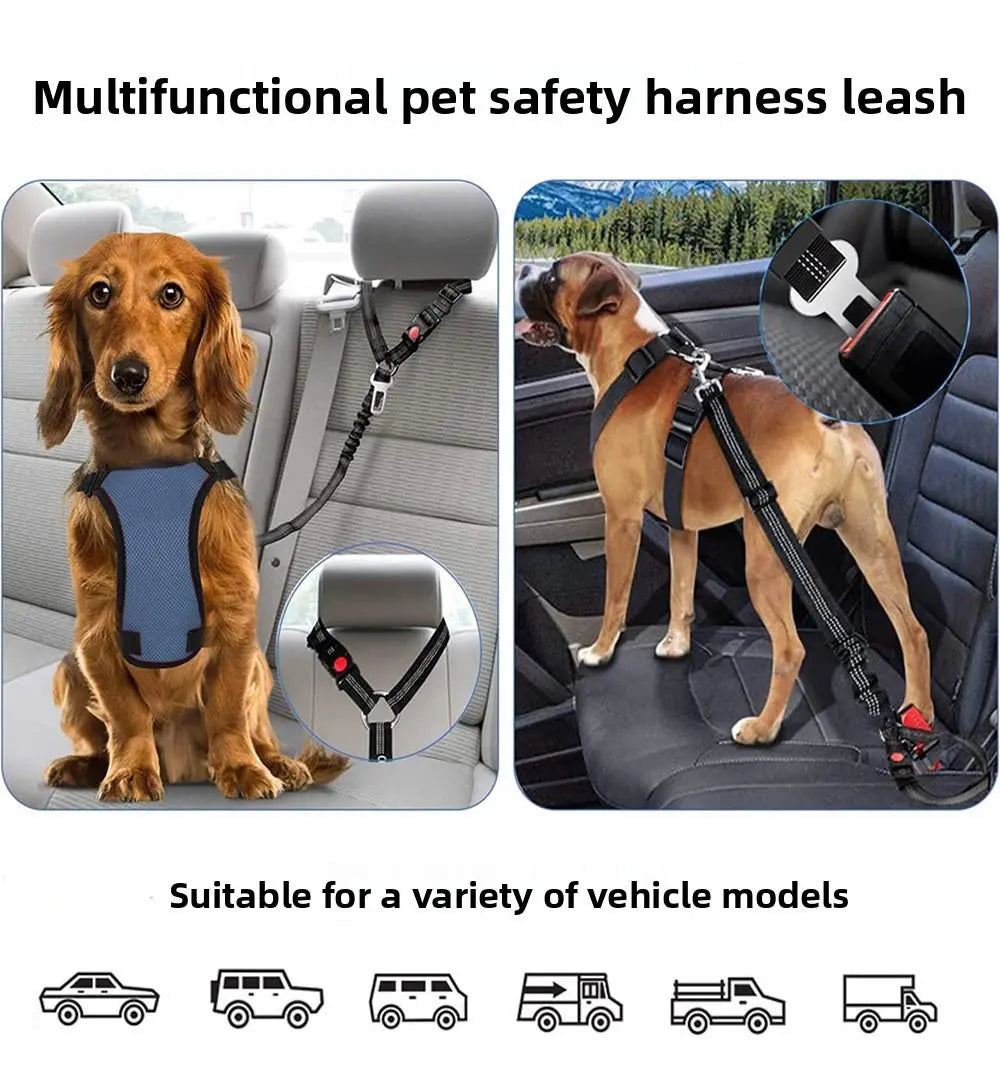 2-Pack Retractable Pet Car Seat Belt & Leash, 2-In-1 Adjustable Safety Harness for Dogs & Cats, Elastic Anti-Pull Travel Restraint, No-Tangle Swivel, Universal Fit